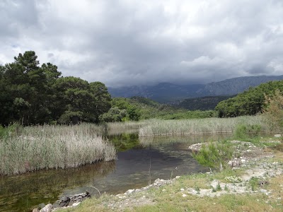 Phaselis Kuzey Limanı