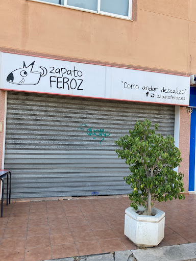 zapato FEROZ