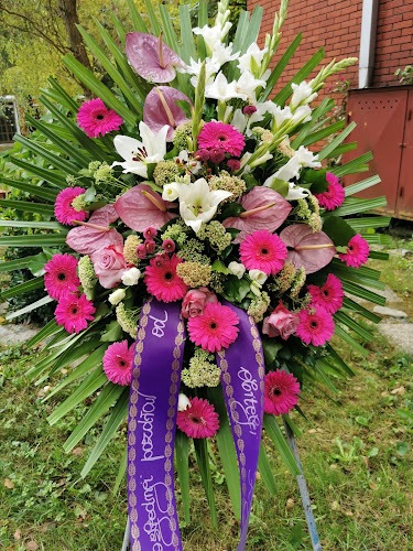 Opinii despre Cvjećarnica Kamelija în Kutina - Cvjećarnica