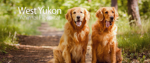 West Yukon Animal Hospital - United States