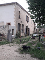Photo n°23 de La ferme de Cabrières à Lambesc (Ferme bio)