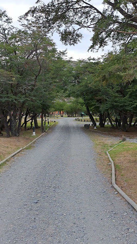 Opiniones de Camping Río Serrano - Caja Los Andes en Puerto Natales - Camping
