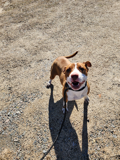 Bertie County Humane Society - Thumbnail