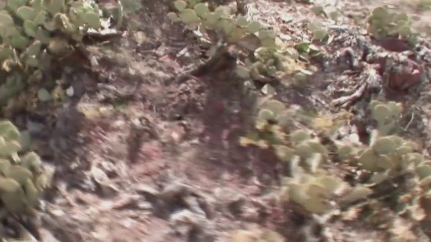 Verde Canyon Railroad by null