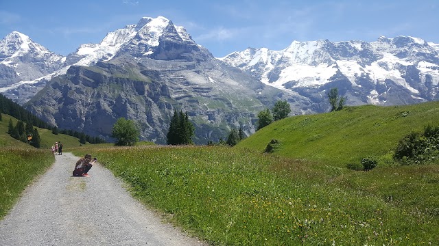 Mürren