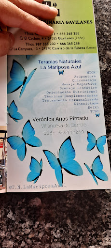 Terapias Naturales La Mariposa Azul - Thumbnail