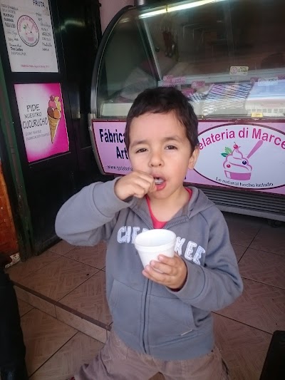 Photos of Gelateria di Marcella