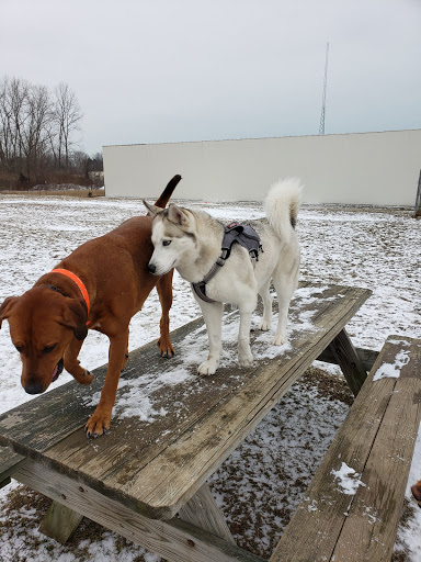 South Haven Dog Park - Thumbnail