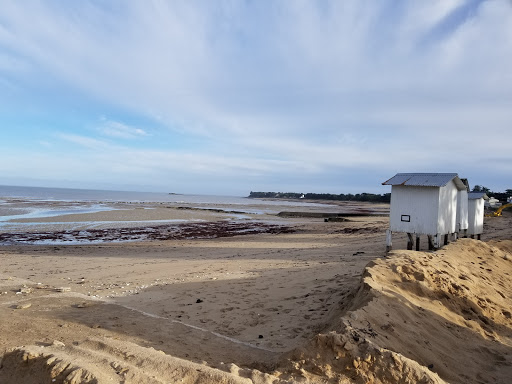 Noirmoutier-en-l'Île - Route du Vieil - Thumbnail