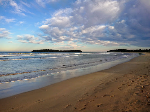 Illawong Nature Reserve - Thumbnail