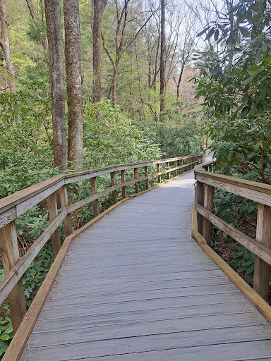 Dingmans Falls - Visual
