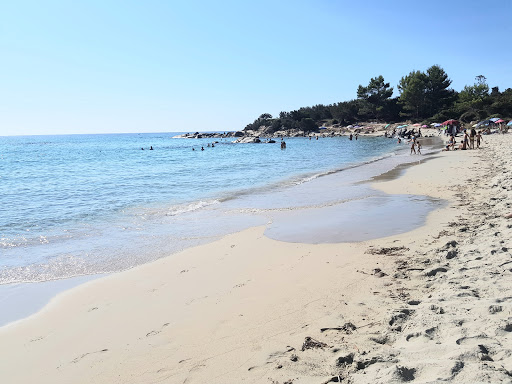 Hakuna Matata Beach - Thumbnail