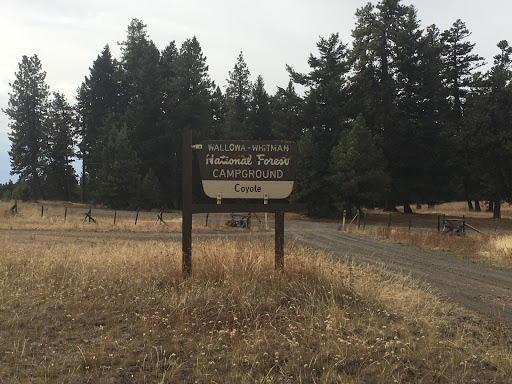 Coyote Campground - Visual