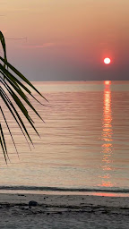 Photo n°24 de BANANA MOON & LIVIA - Port du Crouesty à Arzon (Magasin de maillots de bain)