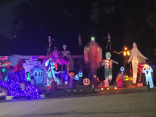 Mirror Lake Lights