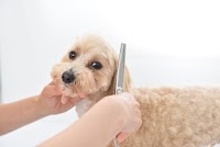 おおたけ動物病院