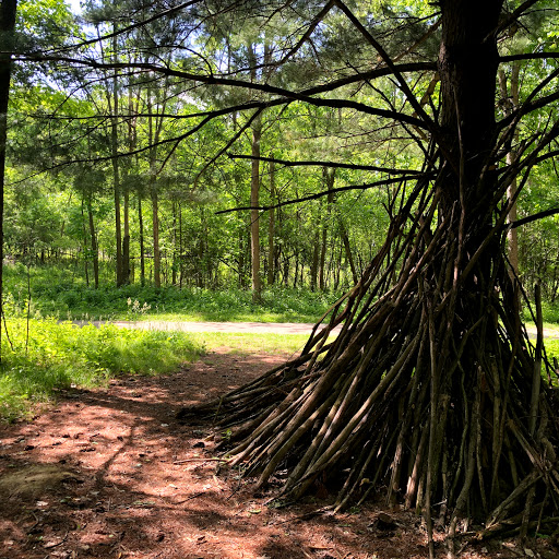 Log Tipi - Visual