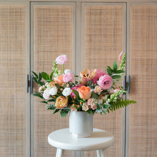 Bloomerangs - Visual