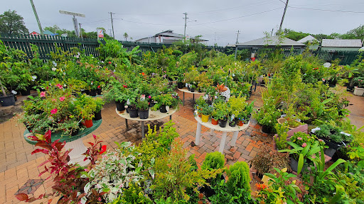 Towers Garden Centre - Thumbnail