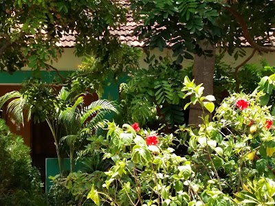 Photos of Arne's Place