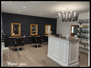 Photo n°1 de Couleur Satin à Saint-Jean-de-Bournay (Magasin de perruques)