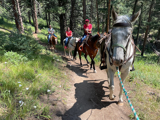Beaver Creek Outfitters & Riding Stables - Thumbnail