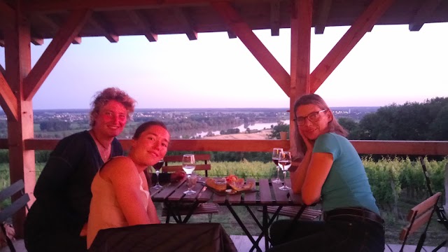 La cabane dans les vignes