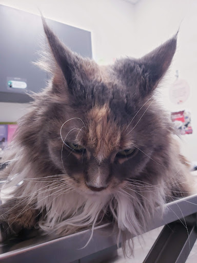 East Hants Animal Hospital - Thumbnail