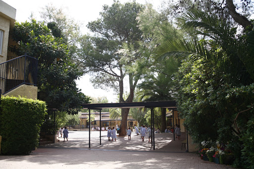 Edelweiss School Logo