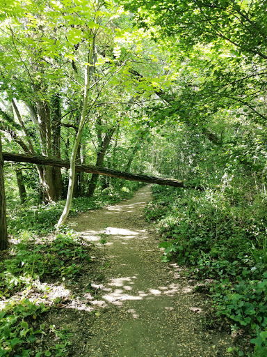 Parc île du ramier / Maison du gardien