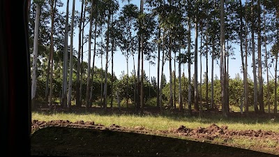 Photos of Minimercado San Andres