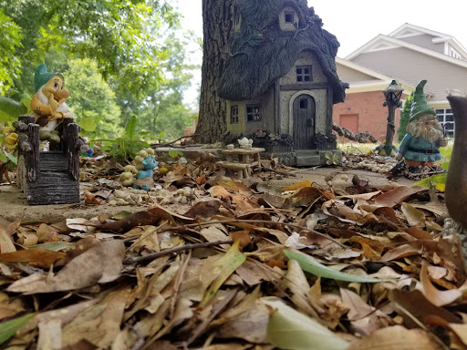 Walnut Grove Library