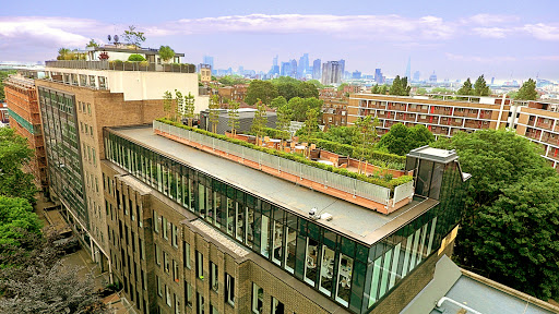 DF Roofing - Thumbnail
