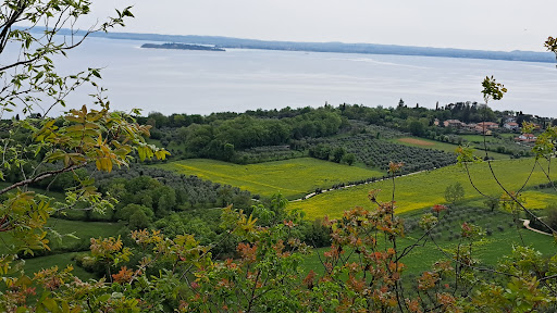 Riserva Naturale Orientata della Rocca e del Sasso - Thumbnail