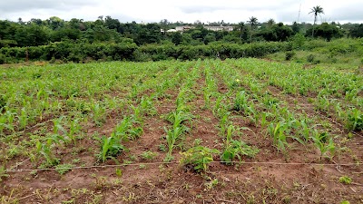 photo of Crop Musuem, Faculty of Agriculture, AAU Ekpoma