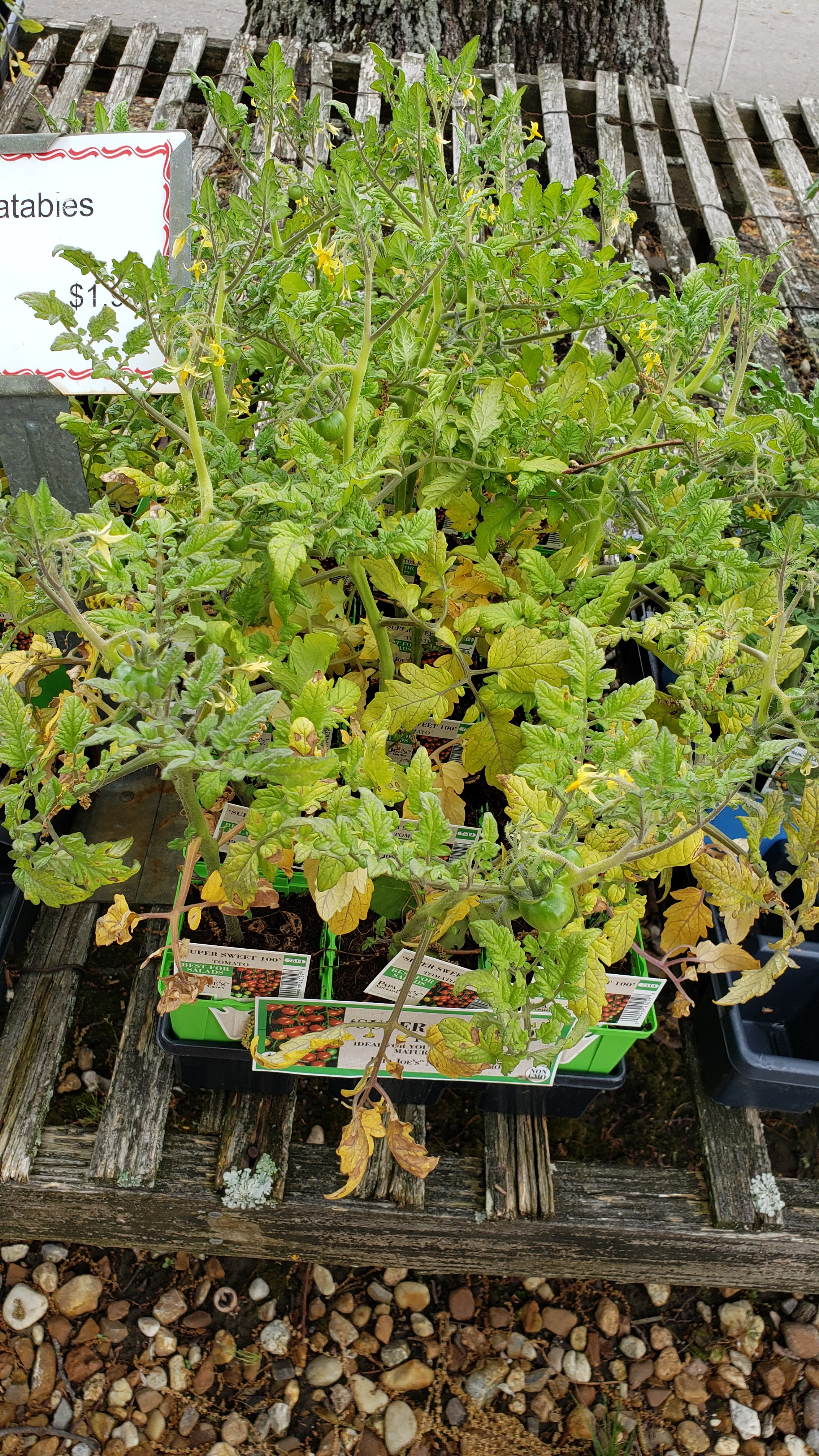 Bryant's Garden Center