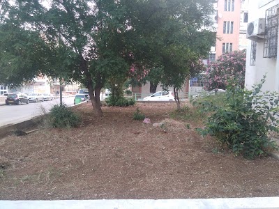 Photos of Imama