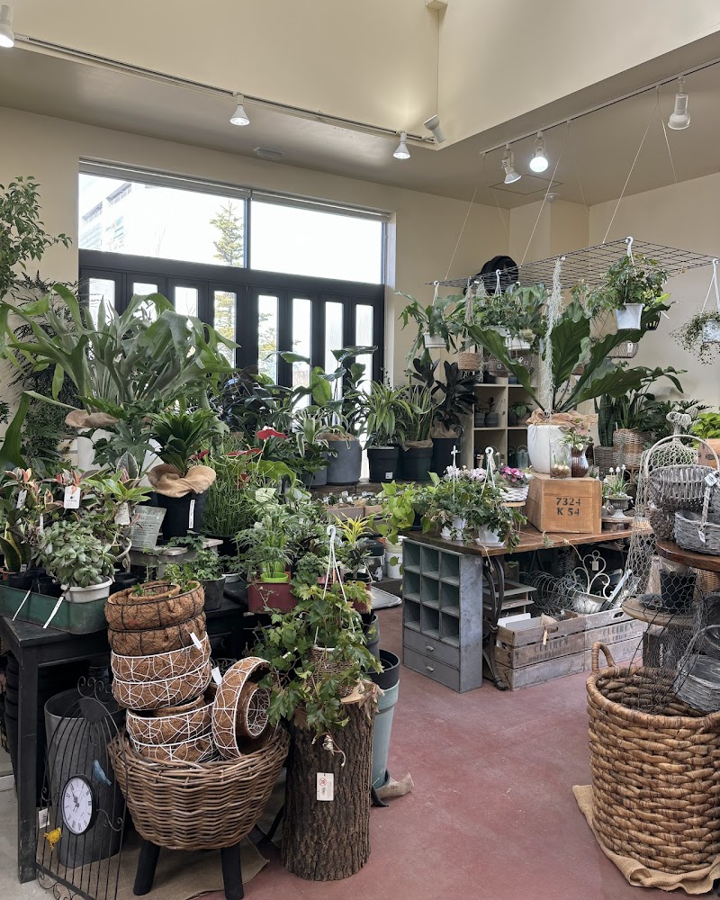 ウィズガーデンつくば