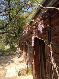 Photo n°9 de Abriecosy Bio vegan B&B, retreatcenter, detox à Bargemon (Centre de yoga)