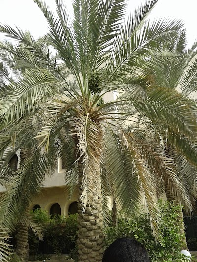 Photos of Dewaneya - Ayad Al Thuwaini