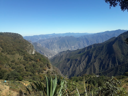 Los Lirios, Cadereyta, Querétaro
