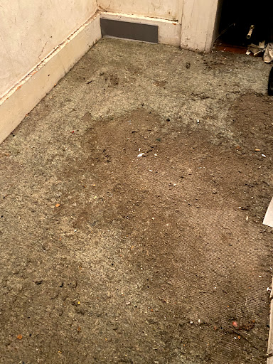 MothKillers.co.uk: Central London Moth Specialist. - Thumbnail