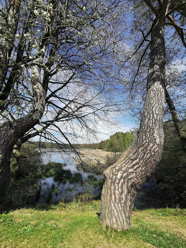 Oberer Altenteich - Thumbnail