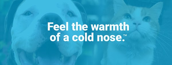 Maryland SPCA photo 1