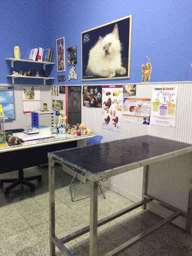 Ambulatorio Veterinario "Salvatore Pepe" - Thumbnail