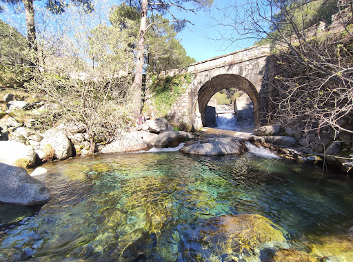 Charco Verde - Visual