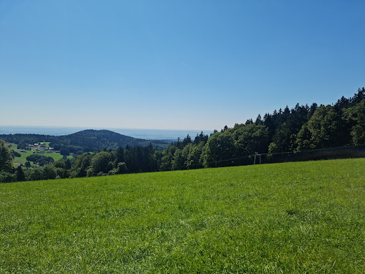 Wanderparkplatz Schellenberg (Greising) - Thumbnail