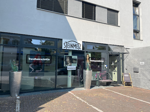 Steinmetz - Visual