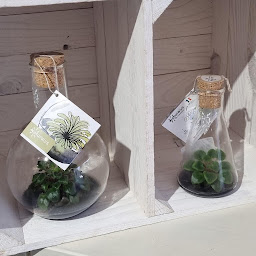 Photo n°6 de LA BOUTIK DECO à Andernos-les-Bains (Boutique de cadeaux)