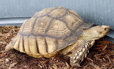 Fort Chiswell Animal Park